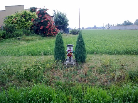 Cippo ad Asseverati con flora circostante, immerso nel verde di un campo. Un simbolo di memoria e devozione.