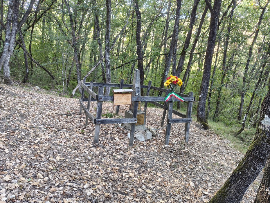 Monumento a Palmieri, Comune di Castel del Rio (BO), foto 4