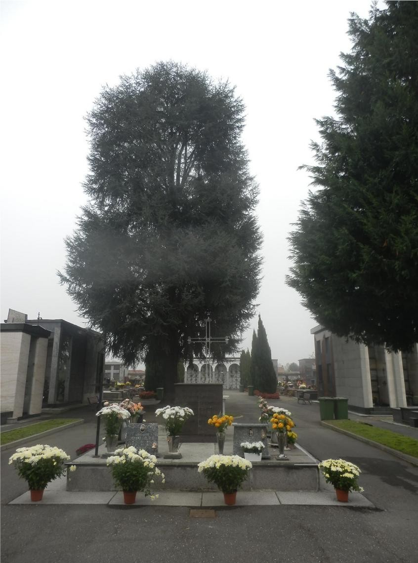 Sacrario dei partigiani di Cappuccini, un luogo di memoria e commemorazione immerso nel verde.