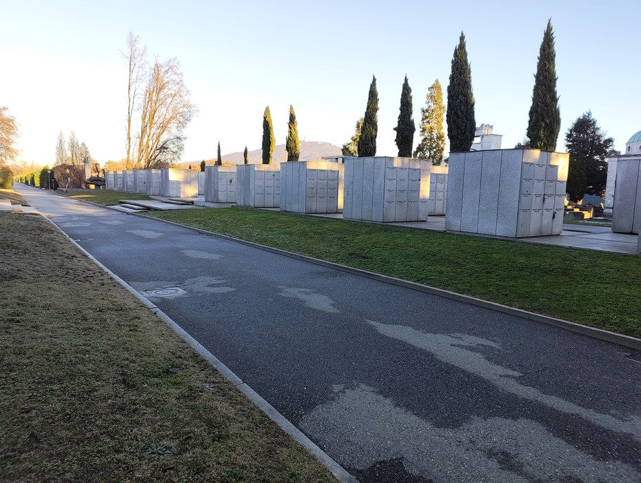 Veduta del Campo della Gloria, con filari di monumenti e cipressi al sole, lungo un viale tranquillo.
