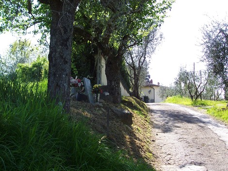 Cippo a Lo Schiavo, un luogo di memoria immerso nella natura, tra alberi e un viottolo soleggiato.