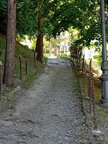 Sentiero ghiaioso immerso nel verde del Parco della Rimembranza, circondato da alberi e spenzierati raggi di sole.