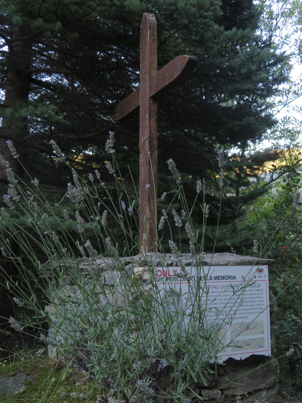 Croce di legno circondata da piante e arbusti, in un ambiente naturale e sereno.