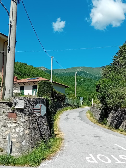 Strada di campagna che si snoda tra boschi e colline, con abitazioni lungo il percorso e cielo azzurro.