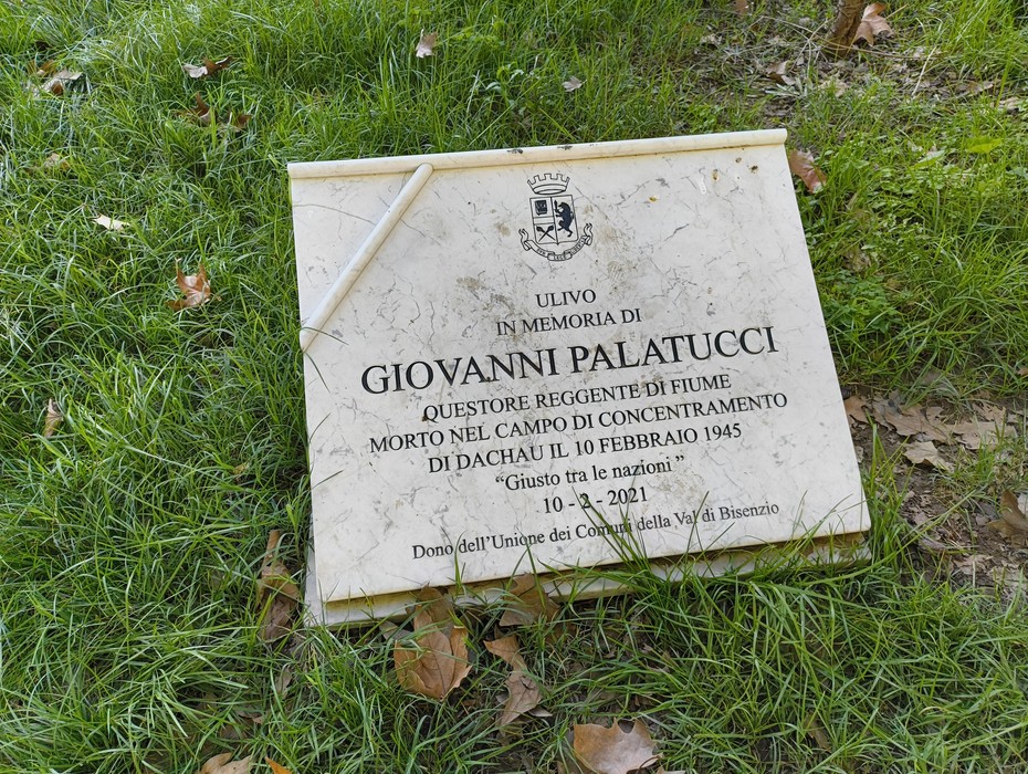 Ulivo dedicato a Giovanni Palatucci, in memoria del suo sacrificio nel campo di concentramento di Dachau.