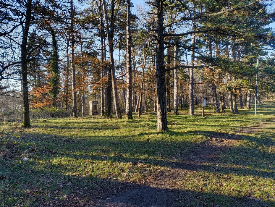 Monumento commemorativo immerso nel verde, dedicato alla Battaglia della Fonte dei Seppi, circondato da alberi.