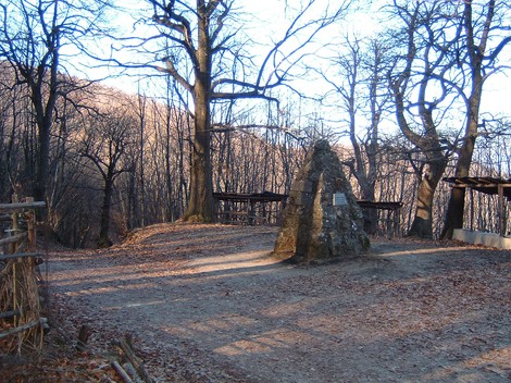 Monumento di Monte Giovi, circondato da alberi e sentieri, immerso nella natura incontaminata.