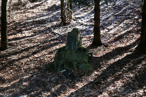 Cippo commemorativo in un bosco, circondato da alberi e foglie secche. Atmosfera silenziosa e contemplativa.