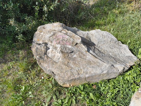 Monumento ai partigiani caduti a Monte Sabbiuno, un tributo alla lotta per la libertà e l'indipendenza.