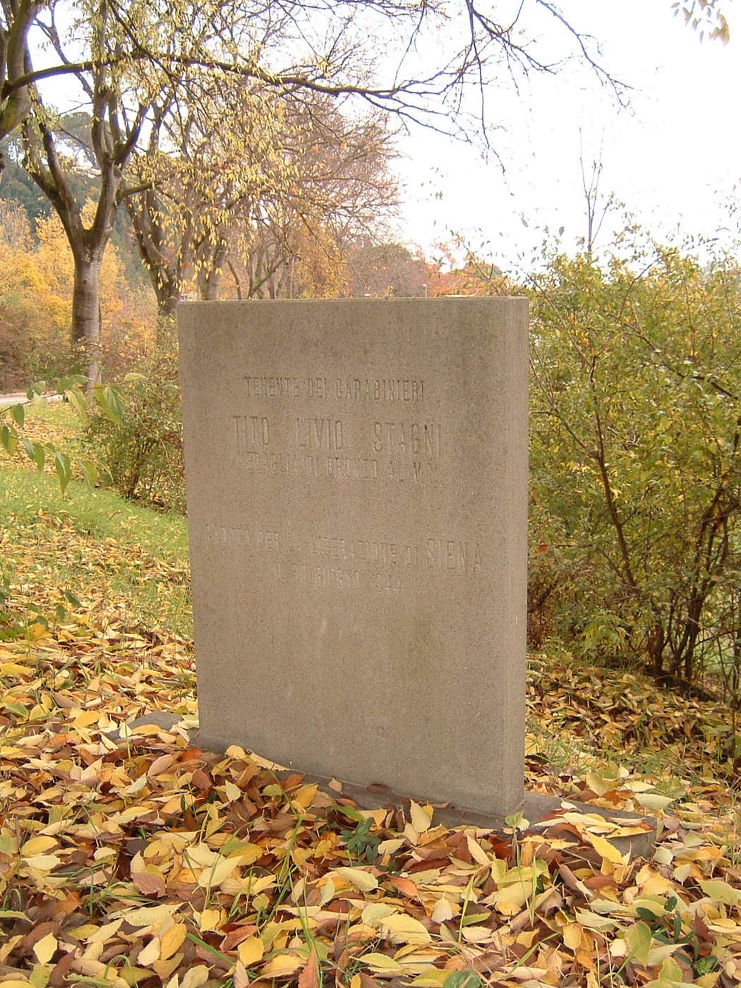 Cippo commemorativo immerso nella natura, circondato da foglie autunnali nel suggestivo contesto di Stagni.