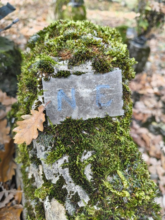 Monumento ai caduti di Ca' Boschetto, decorato da muschio e foglie nel verde della natura.
