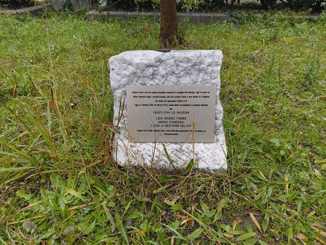 Un'area verde con un pannello informativo su un albero, circondata da erba e piante.