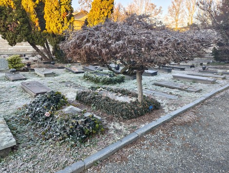Il Sepolcro di Levi è circondato da un paesaggio di cimitero con alberi e tombe, immerso nella brina del mattino.