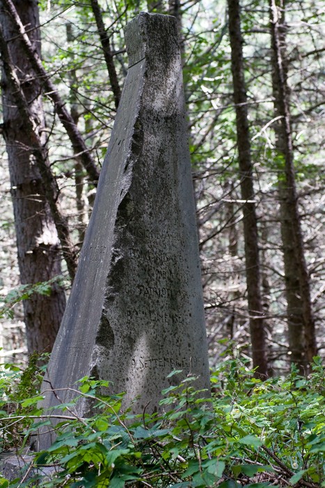 Monumento della Divisione Apuana immerso nel bosco, commemorativo e simbolico, circondato da vegetazione.