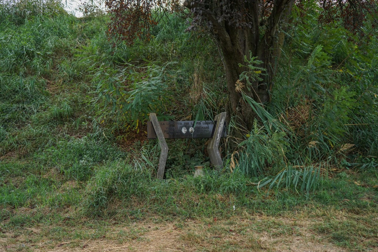 Monumento a Dalmari e Vezzelli, immerso nella natura con vegetazione attorno e un albero nelle vicinanze.