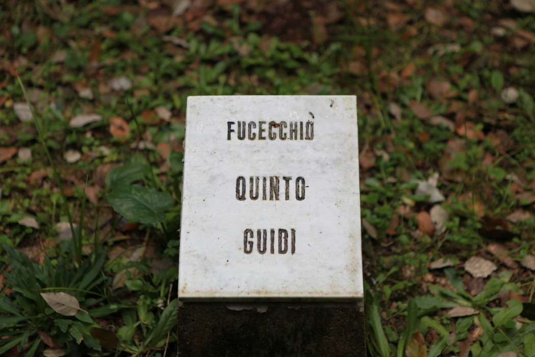 Un'insegna di pietra in un giardino, circondata da erba e foglie, con nomi incisi visibili.