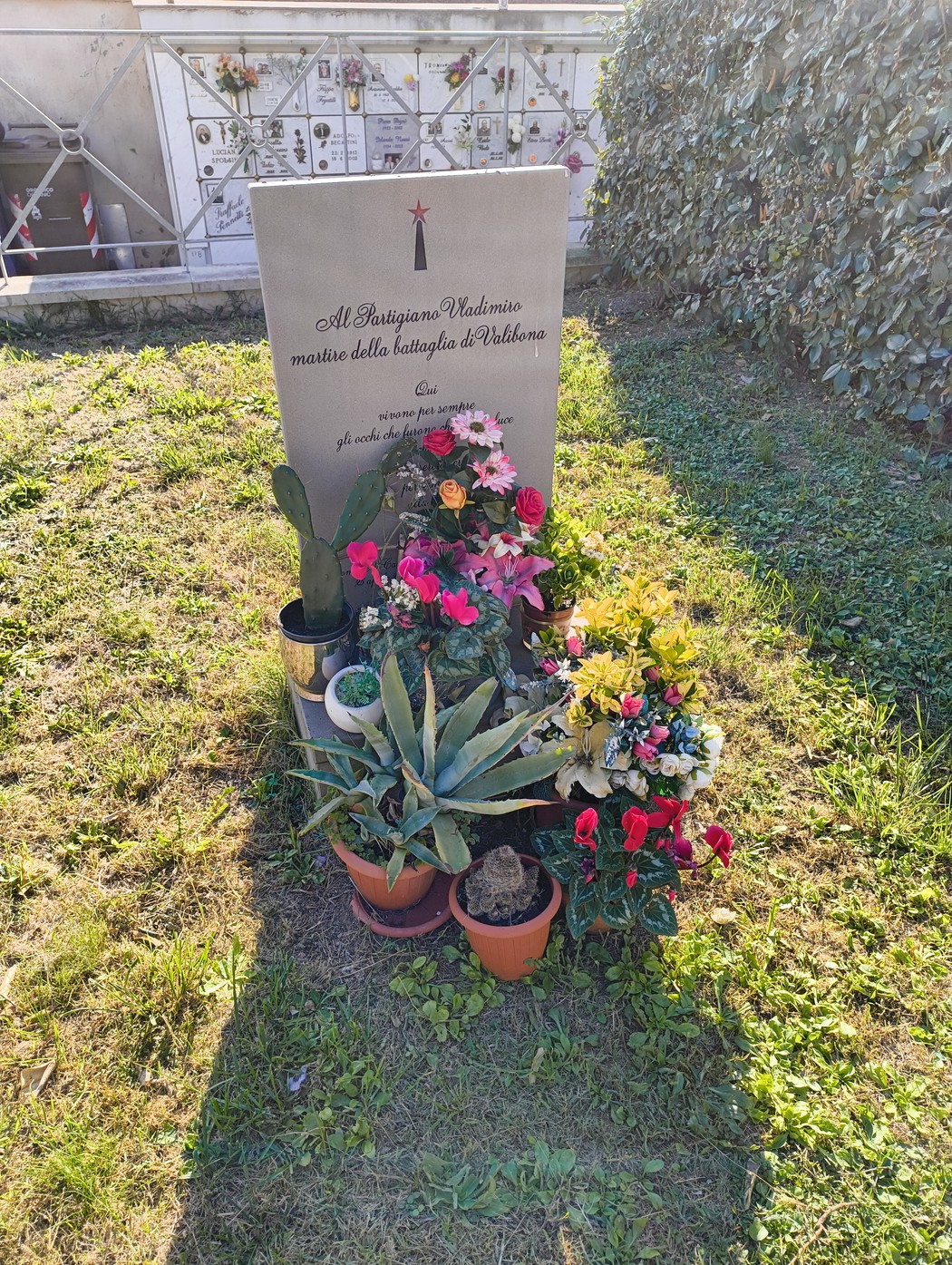 Cippo commemorativo dedicato a Vladimiro, adornato con fiori colorati e piante.