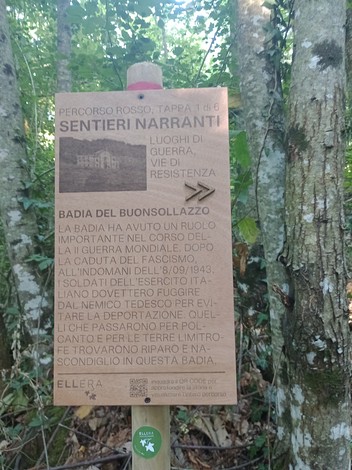 Pannello informativo sui luoghi della Seconda Guerra Mondiale a Monte Senario, circondato da vegetazione.