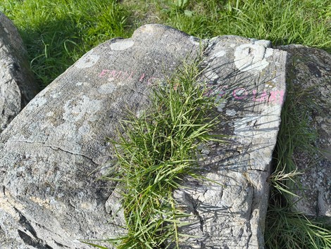 Monumento ai partigiani caduti, situato su Monte Sabbiuno, commemorazione di vite sacrificati per la libertà.