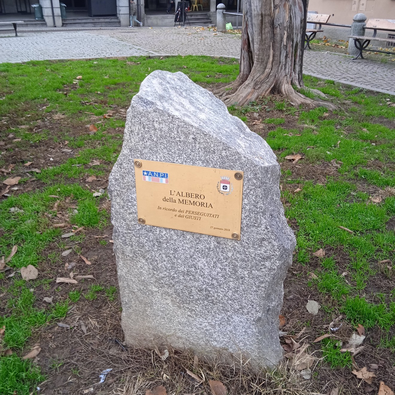 L'albero della memoria, simbolo di ricordo e riflessione, circondato da natura e storia.
