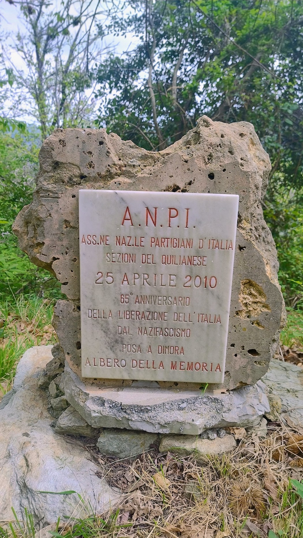 Lapide commemorativa dedicata all'Albero della Memoria, per il 65° anniversario della liberazione dall'Nazifascismo.
