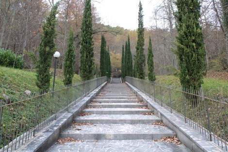 Scalinata con cipressi che conduce al Sacrario dei martiri di Cicchetti, immerso nella natura.