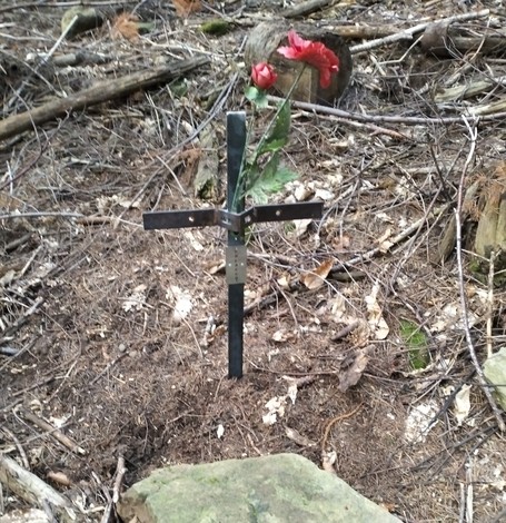 Croce in ricordo di un partigiano polacco, immersa nella natura, simbolo di sacrificio e memoria storica.