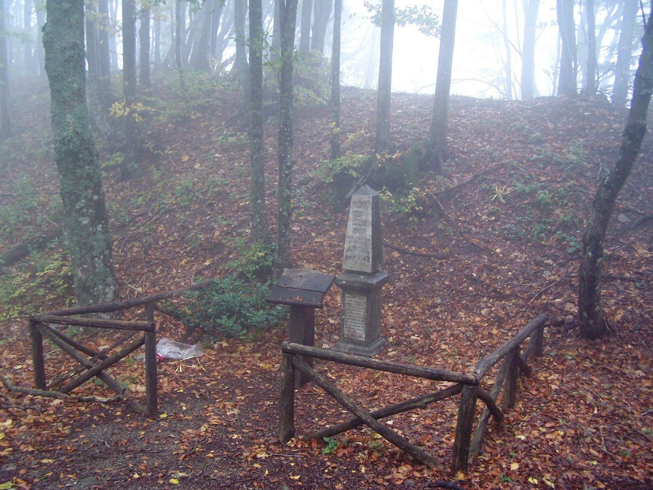 Cippo al Pian delle Fontanelle, tra alberi e foglie secche, avvolto da una leggera nebbia.