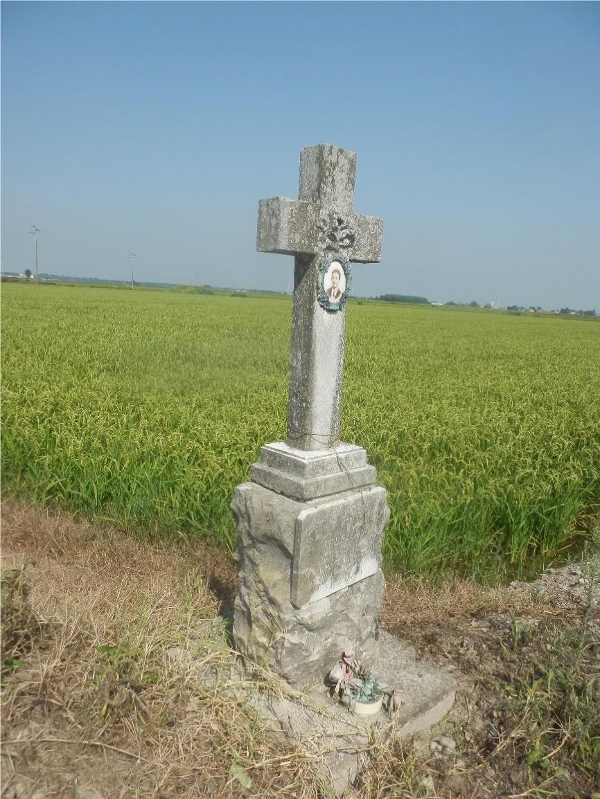Croce a Gila in un campo, simbolo di devozione e memoria, immersa nel verde degli stabili terreni agricoli.