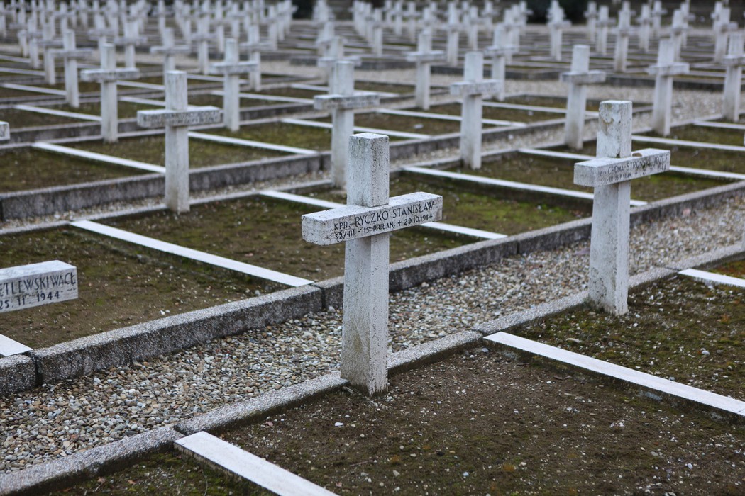 Cimitero di guerra polacco con file di croci bianche su un terreno semplice e curato.