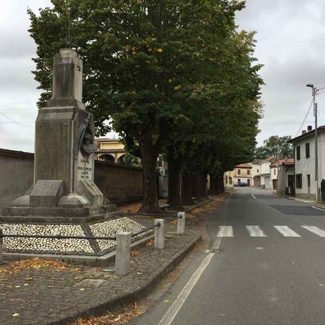 Monumento ai caduti di Semiana, circondato da alberi e posizionato lungo una strada tranquilla del paese.