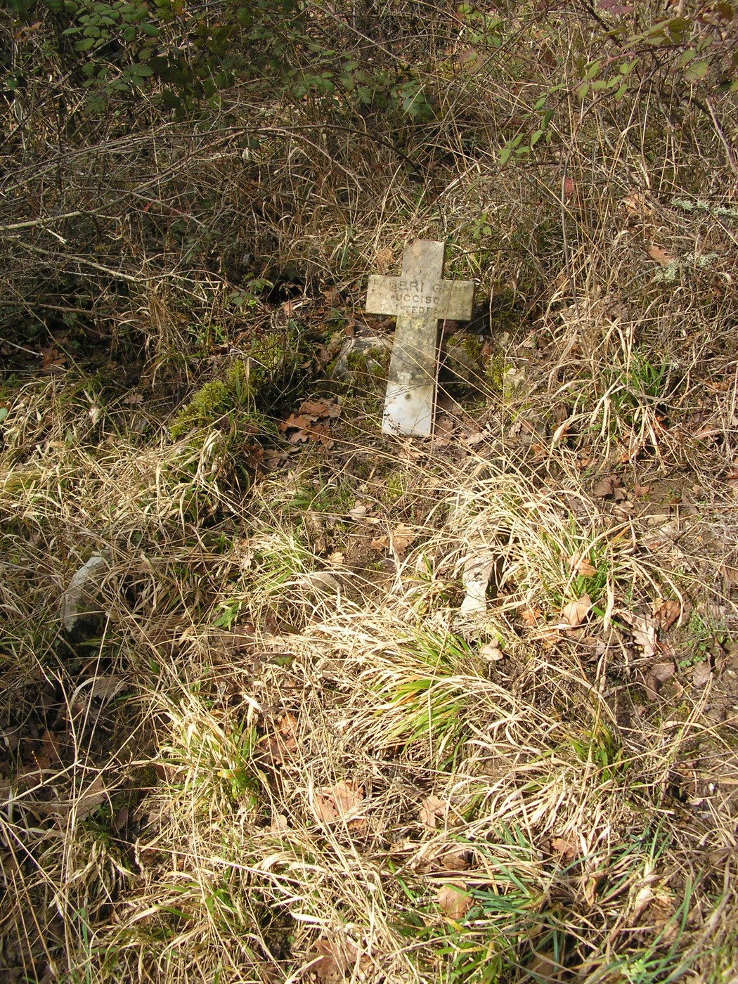 Cippo commemorativo immerso nella vegetazione, simbolo di memoria e storia locale.