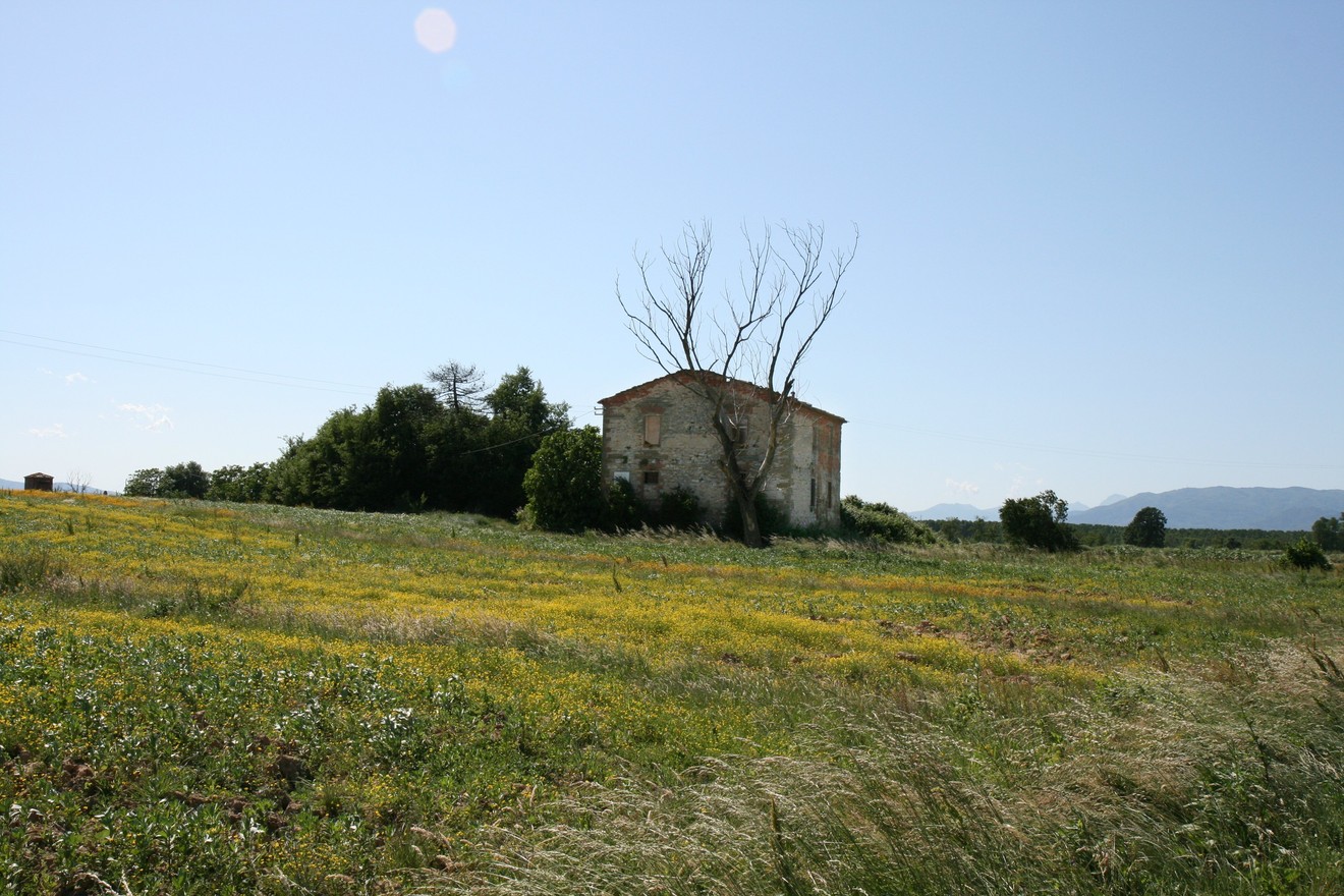 Lapide alla Casa Silvestri, un edificio isolato in un campo fiorito sotto un cielo sereno.