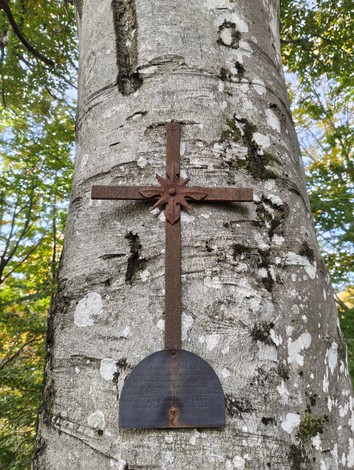 Croce in metallo fissata a un albero, circondata da una vegetazione lussureggiante e colorata.