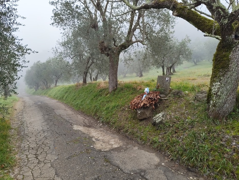 Cippo a Lo Schiavo immerso in un paesaggio nebbioso, circondato da ulivi lungo un sentiero.