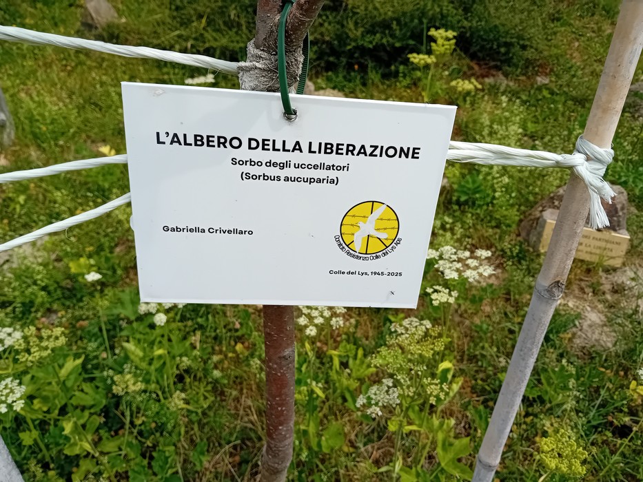 Giardino della Resistenza e della Pace fra i Popoli, Comune di Viù (TO), foto 9