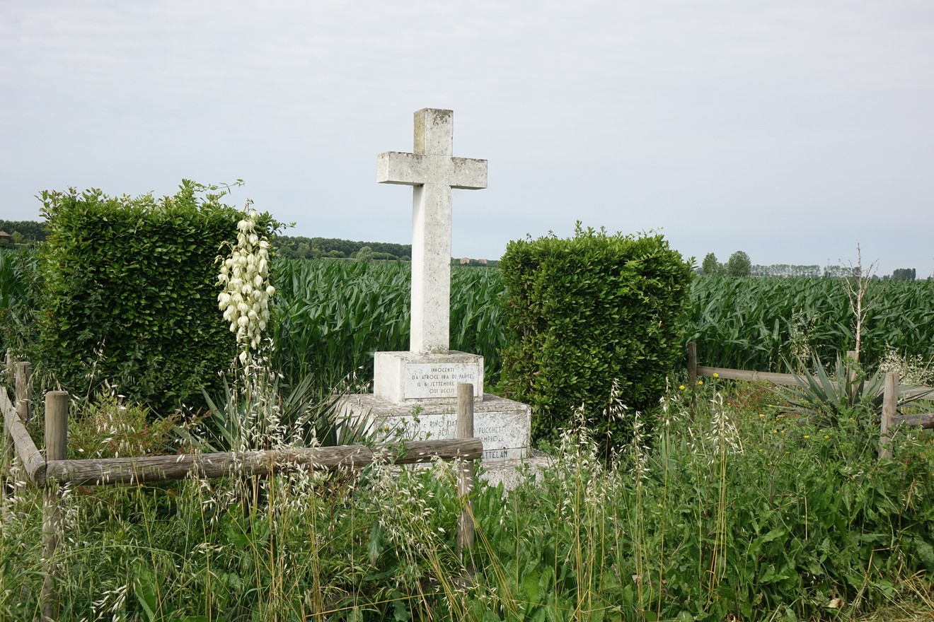 Croce bianca circondata da cespugli verdi in un campo rurale. Atmosfera di natura e tranquillità.