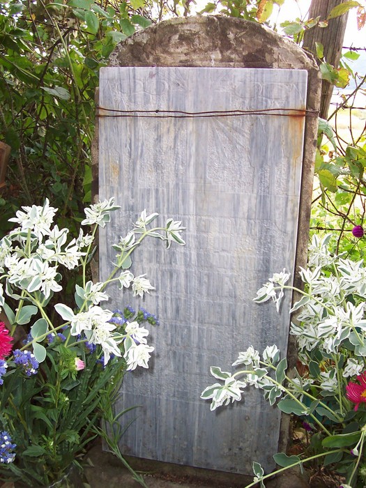Monumento ai caduti di Terranieri, circondato da fiori, in memoria dei sacrifici per la patria.