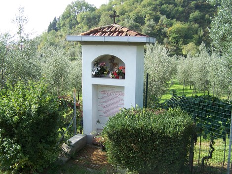 Tabernacolo del Beppaccino immerso tra gli ulivi, simbolo di devozione e tradizione locale.