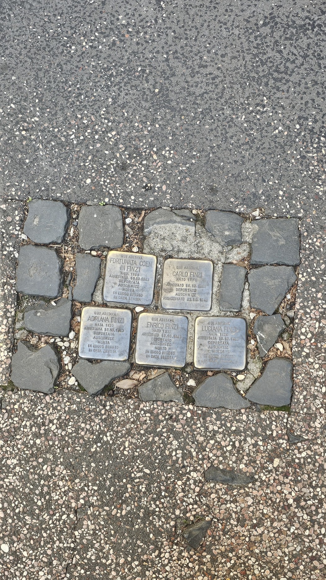Pietre d'inciampo dedicate alla famiglia Coen - Finzi, collocate a terra in un contesto urbano.