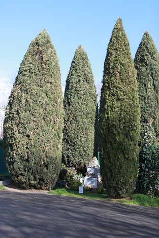 Monumento alla Brigata Bolero circondato da alti cipressi in un ambiente verde e luminoso.
