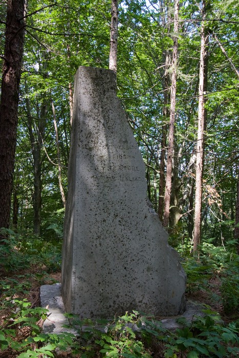 Monumento della Divisione Apuana, situato in un bosco, commemorativo e immerso nella natura.