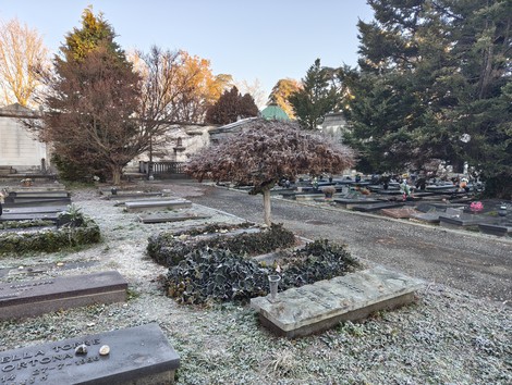 Panoramica di un cimitero con tombe, alberi e un'atmosfera di tranquillità invernale.