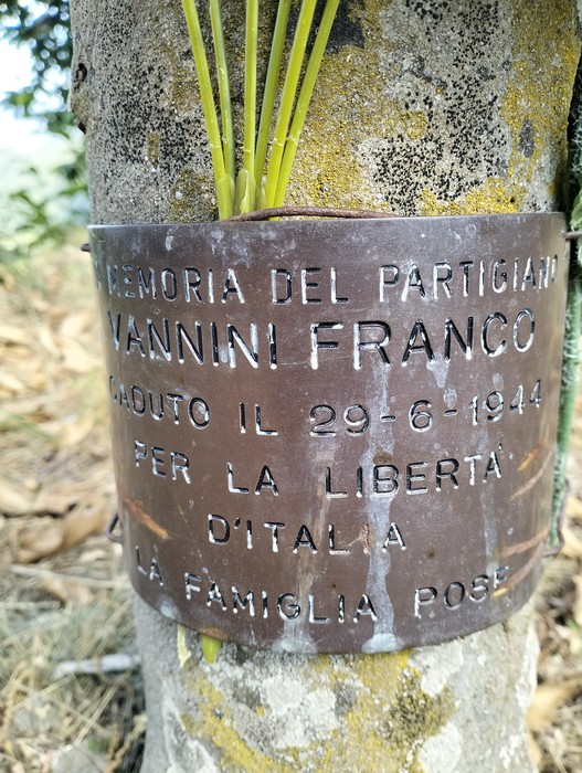 Cippo commemorativo dedicato a Franco Vannini, partigiano caduto per la libertà il 29 giugno 1944.