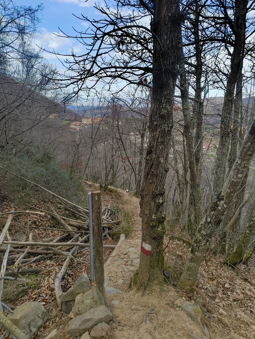 Sentiero della Memoria tra alberi spogli e vegetazione, con indicazioni a bordo strada.