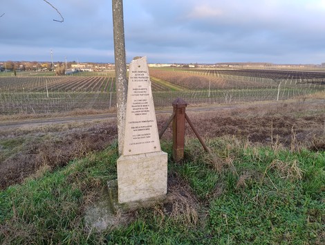 Monumento ai martiri di Castelbaldo, con paesaggio di campi e vigneti sullo sfondo.
