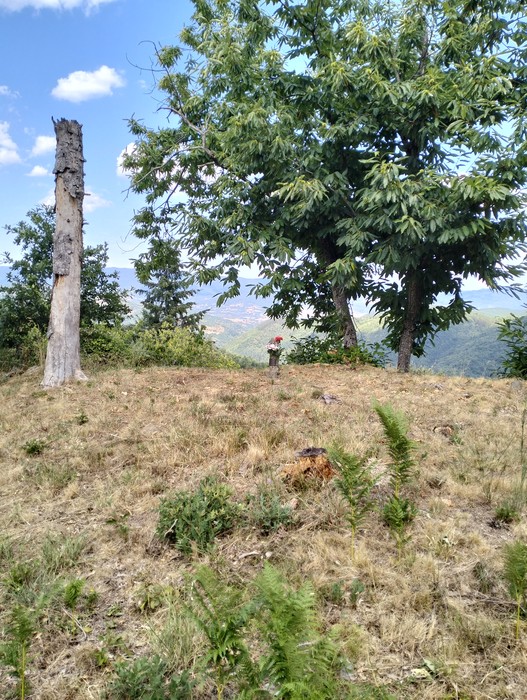 Cippo a Vannini immerso nella natura, con vista panoramica su un paesaggio montano.