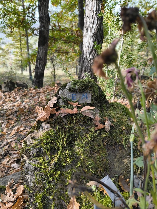 Monumento ai caduti di Ca' Boschetto, immerso nella natura con foglie e vegetazione circostante.