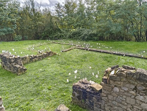 Rovine di San Martino immerse nella natura, con detriti e fiori che creano un'atmosfera armoniosa e storica.