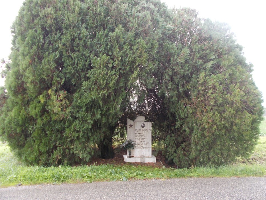 Monumento a Cacopardo, immerso nella vegetazione, dedicato alla memoria di un'importante figura storica.
